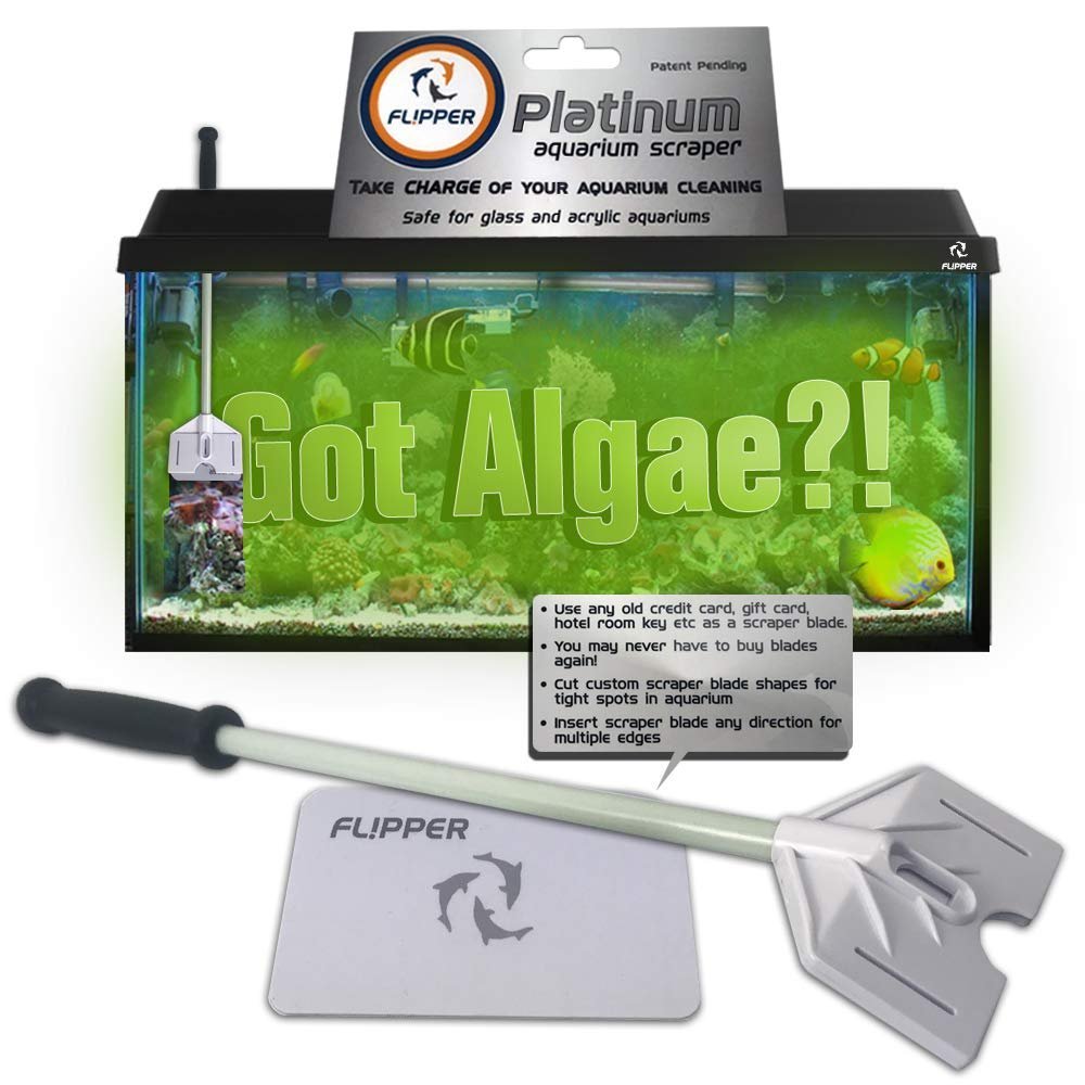 Flipper Platinum Aquarium Scraper for Glass and Acrylic Tanks 18in - Kwik Pets