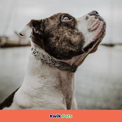 Herm Sprenger Ultra-Plus Prong Dog Training Collar with Latch 3.25mm X 20" - Kwik Pets