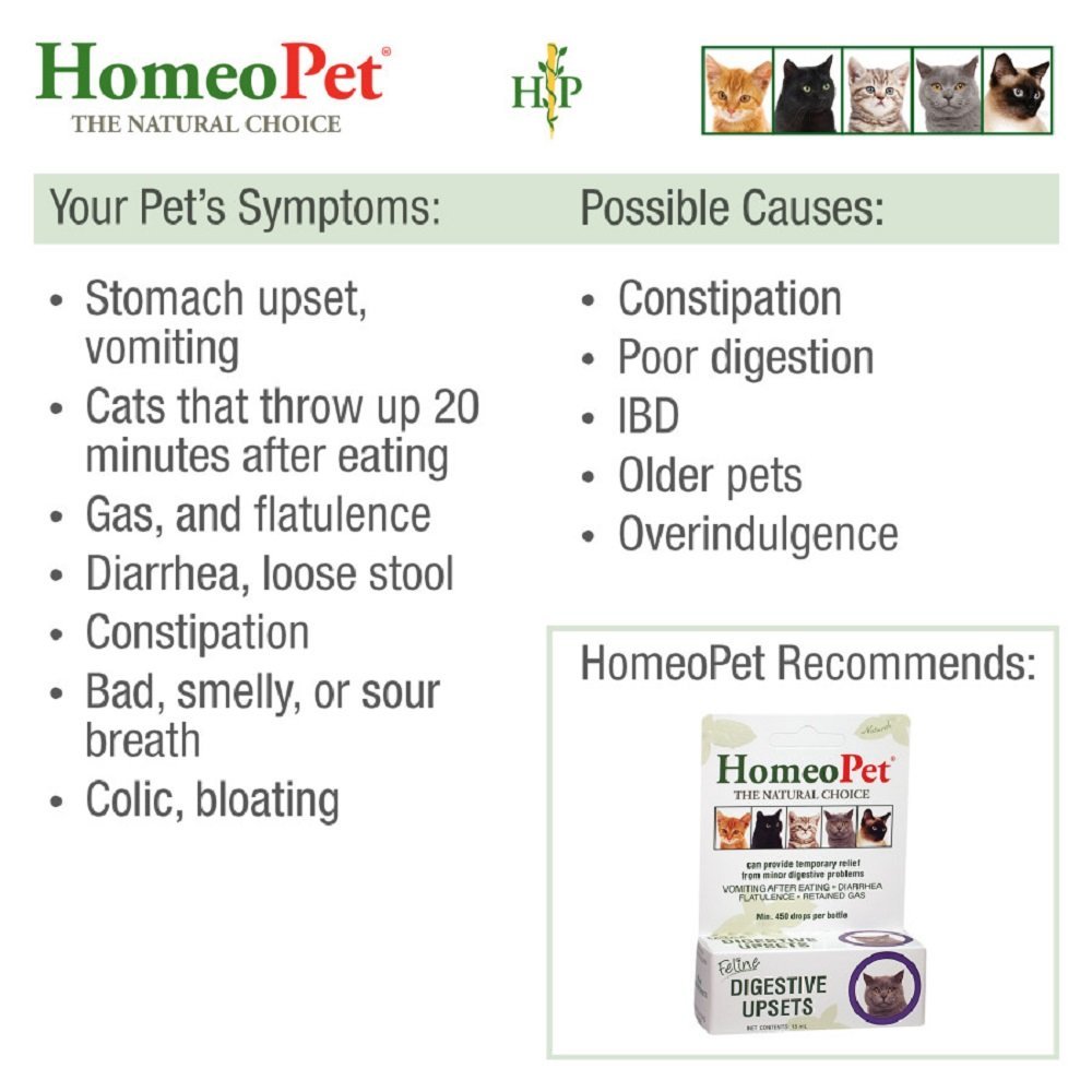 HomeoPet Feline Digestive Upsets 15ml - Kwik Pets