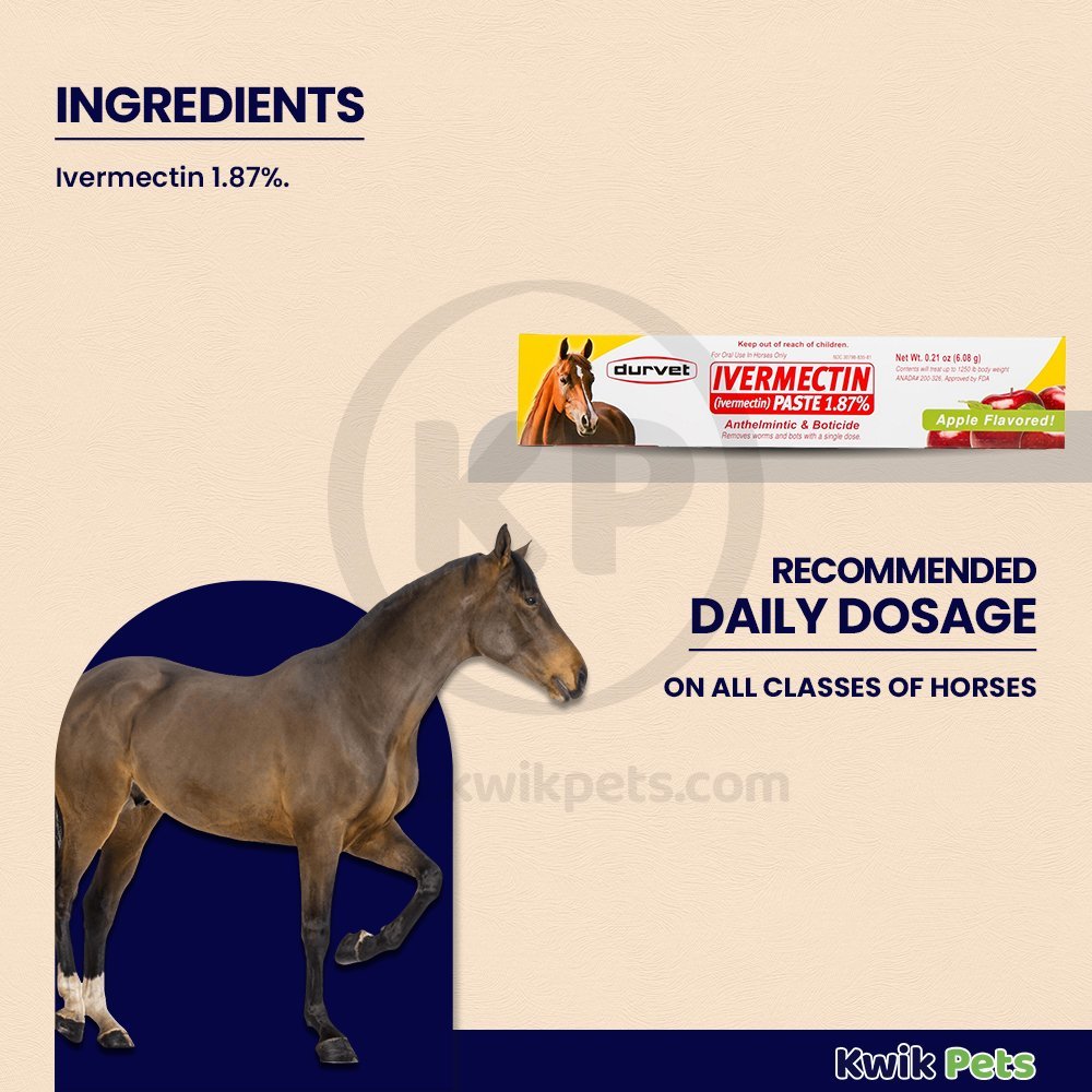 Ivermectin Paste Dewormer - 6.08g dose @ 1.87% Apple Flavor - Kwik Pets