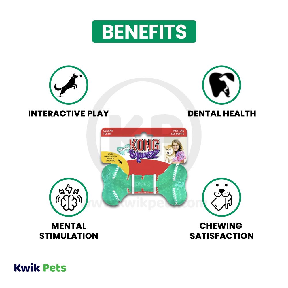 KONG Dental Squeezz Bone Dog Chew Teal, MD - Kwik Pets