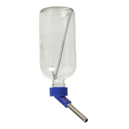 Lixit Economy Glass Water Bottle 16oz - Kwik Pets