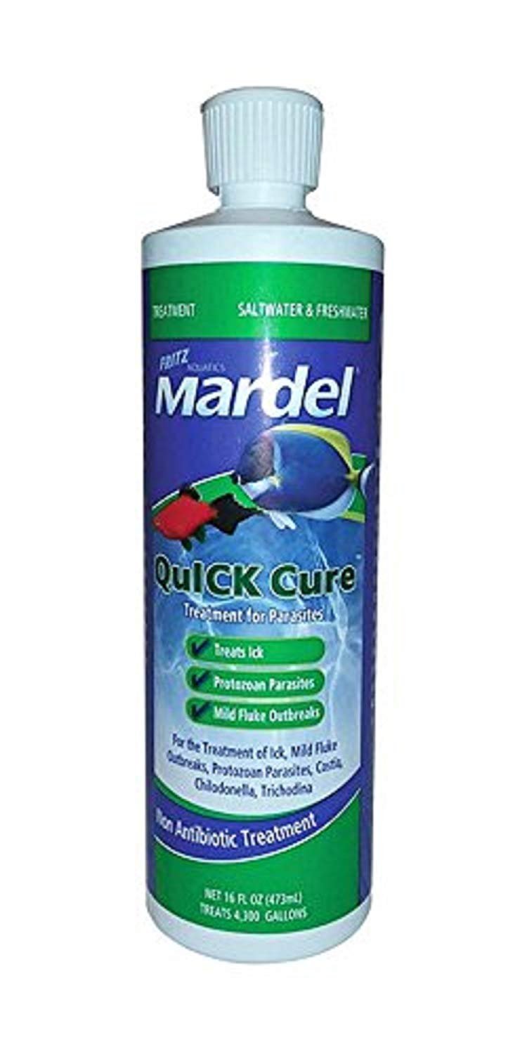 Mardel Quick Cure 16oz - Kwik Pets
