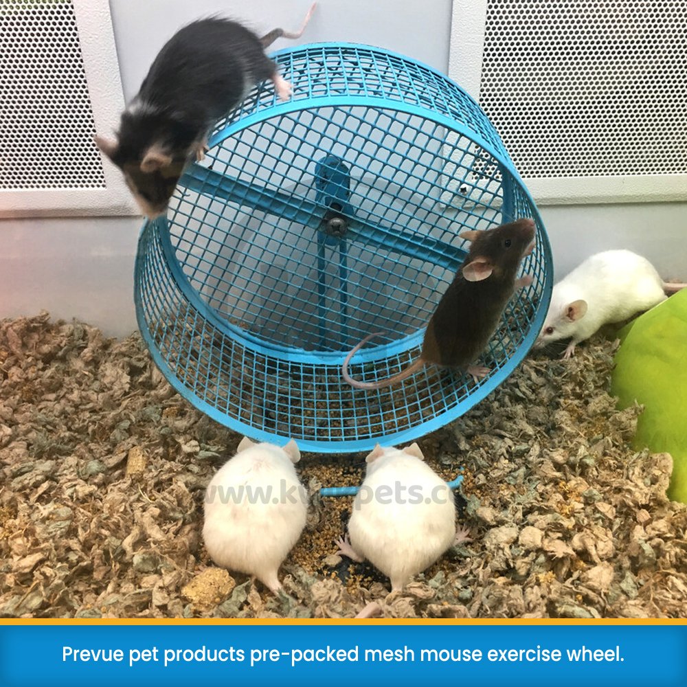 Prevue Pet Products Pre-Packed Mesh Mouse Exercise Wheel Assorted, Prevue Pet Products