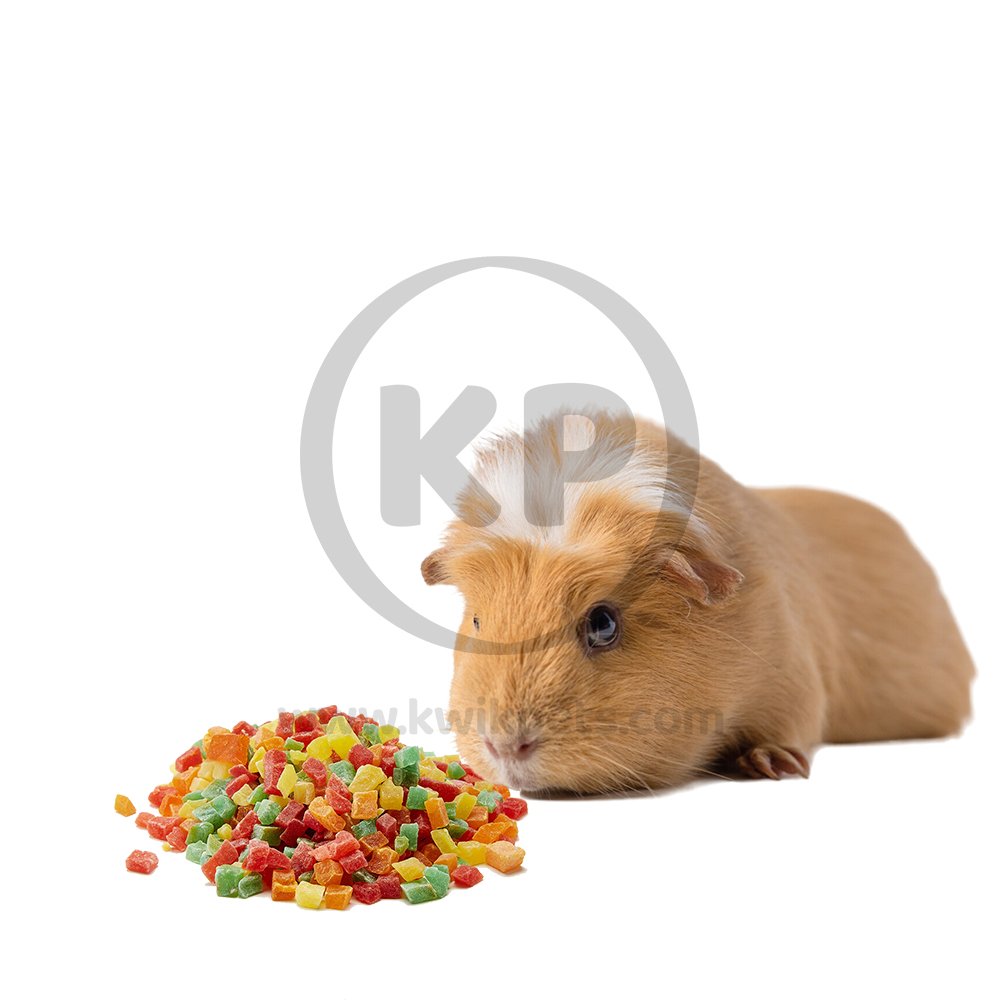 Kaytee Fiesta Healthy Top Papaya Small Animal 2.5oz, Kaytee