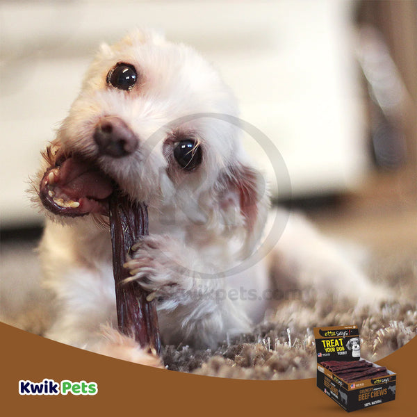 Etta Says! Premium Crunchy Beef Dog Treat 16 oz, Etta Says