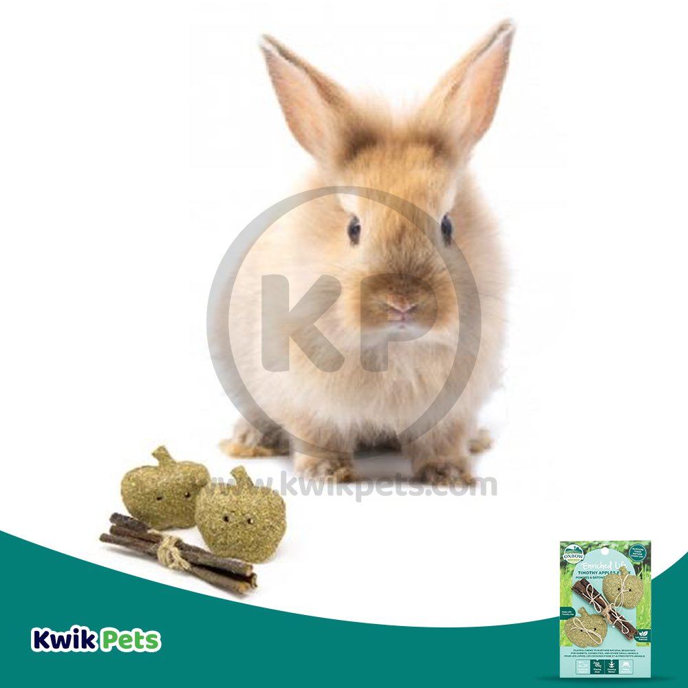 Oxbow Animal Health Enriched Life Timothy Apples & Stix Small Animal Toy One Size, Oxbow