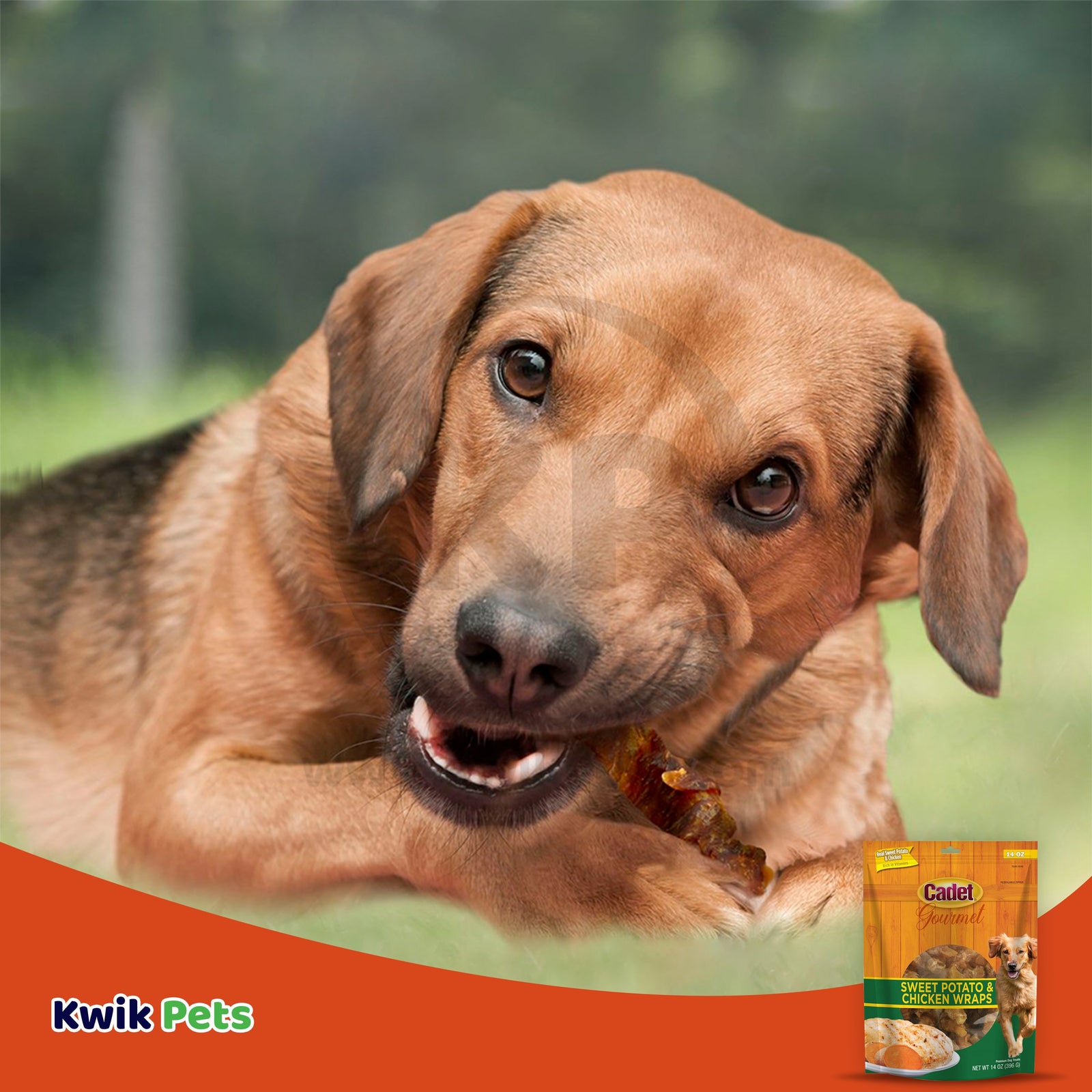 Cadet Gourmet Chicken-Wrapped Sweet Potato Dog Treats