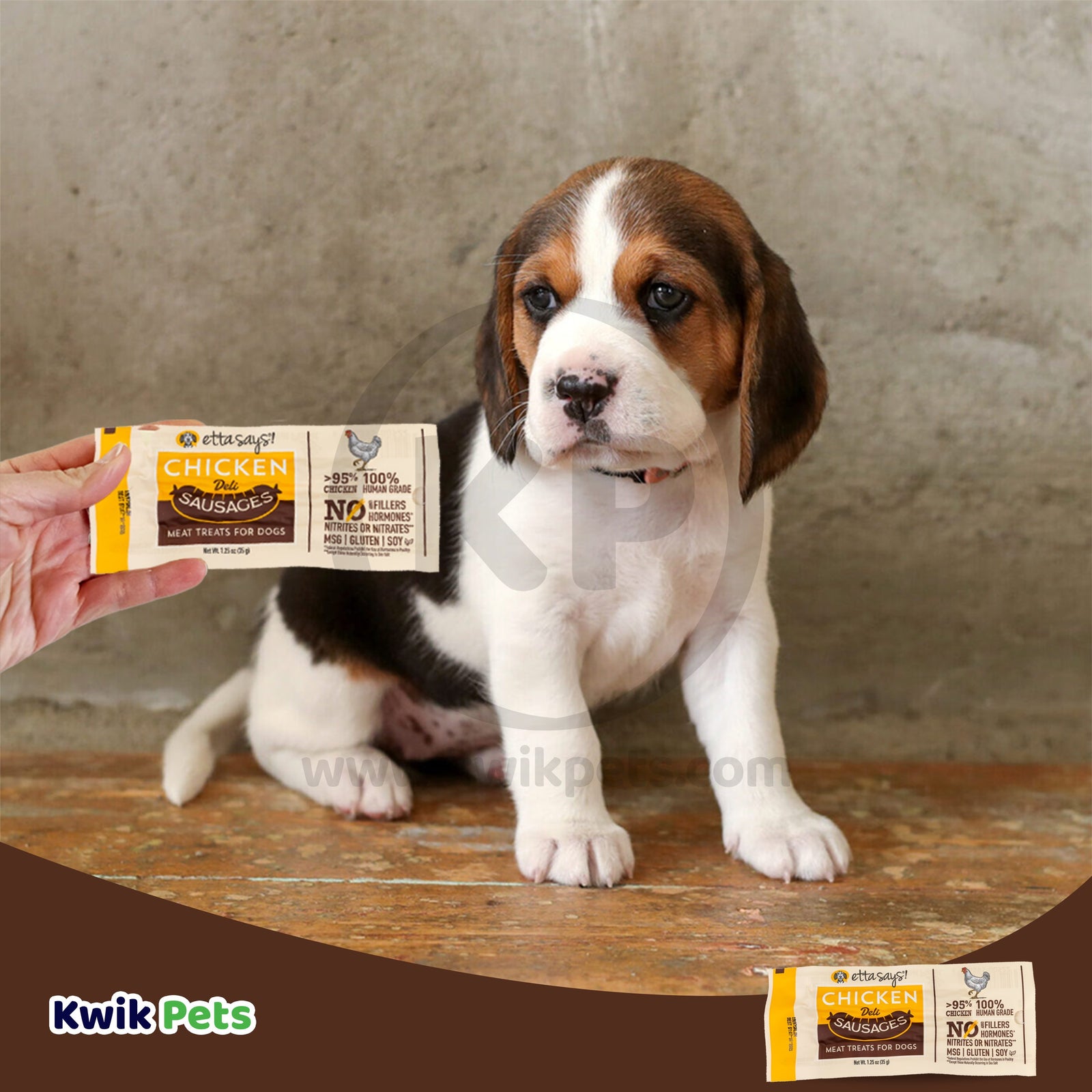 Etta Says! Sausage Link Dog Treat Display Chicken 1.25 oz - Kwik Pets