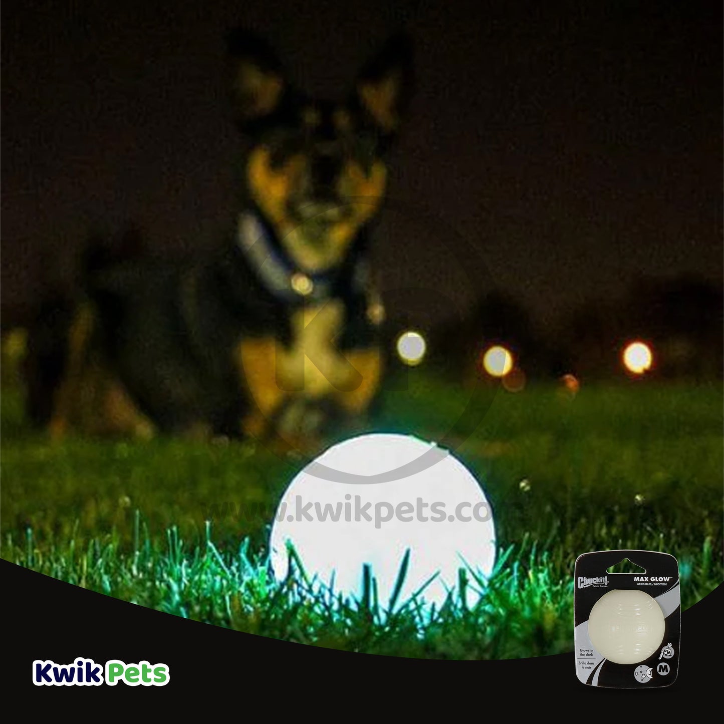 Chuckit! Max Glow Ball Dog Toy Medium - 5