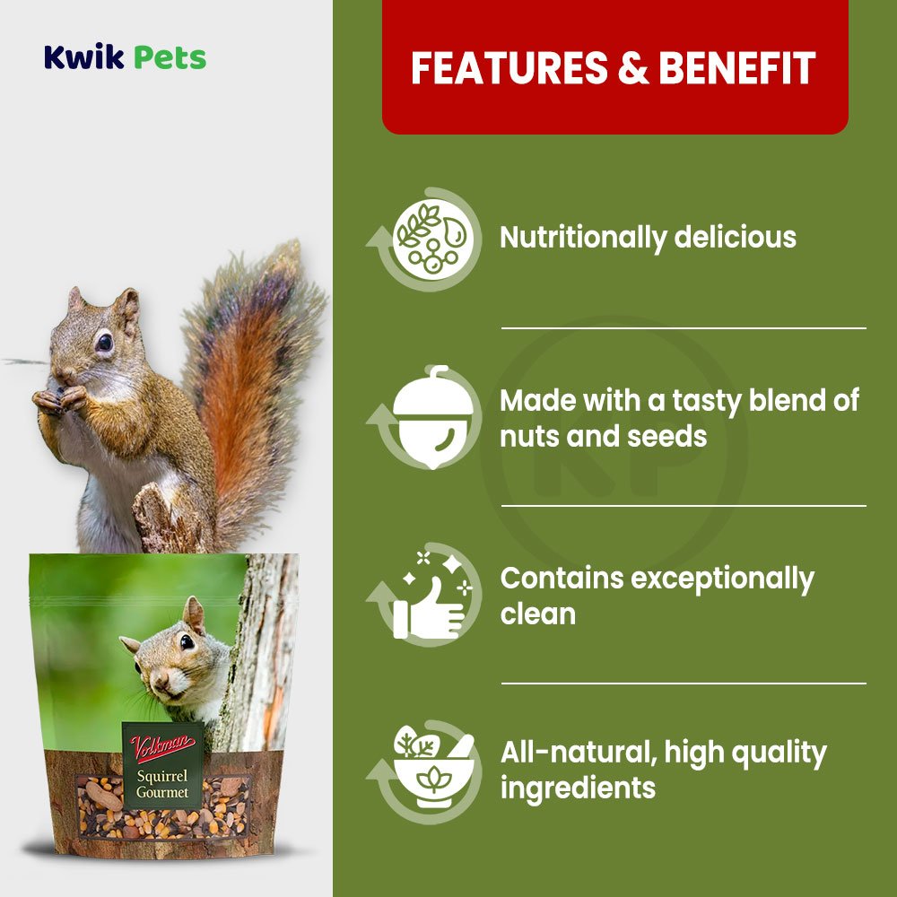 Volkman Seed Small Animal Squirrel Gourmet Mix Healthy Formulated Diet Food 4lb, Volkman