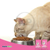 IAMS Proactive Health Sensitive Digestion & Skin Adult Dry Cat Food Turkey, 13 lb, IAMS