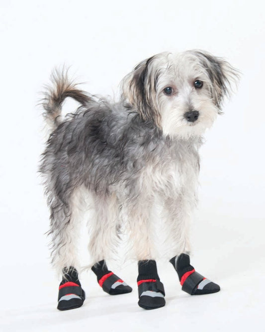 Fashion Pet Extreme All Weather Boots Red/Black, XXxs, Fashion Pet