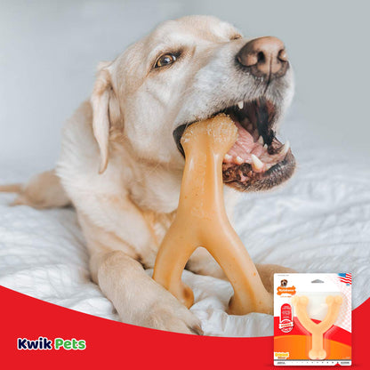 Nylabone Dura Chew Wishbone - Original Flavor For Dogs up to 35 lbs Medium/Wolf, Nylabone