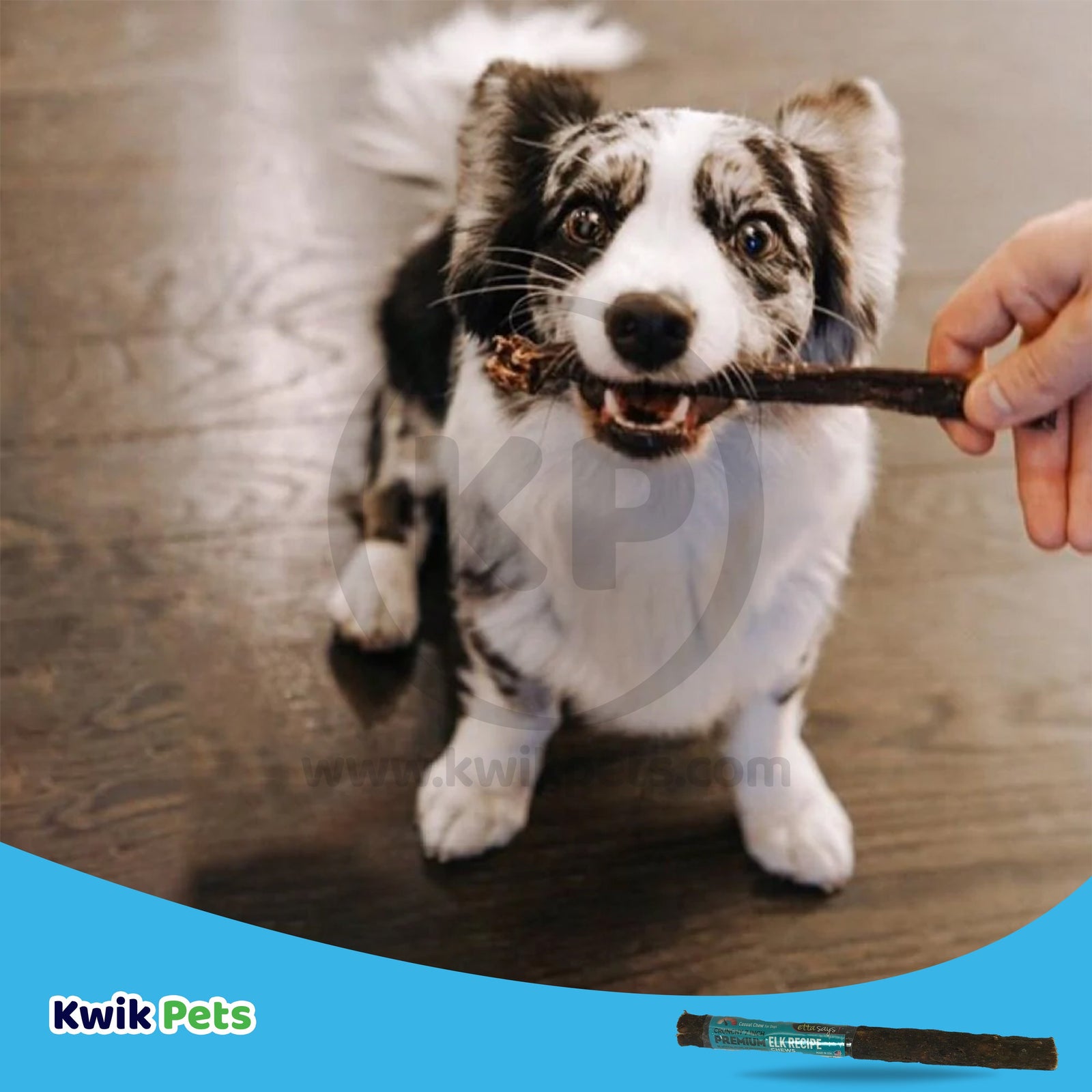 Etta Says! Premium Crunchy Rabbit Chews Dog Treat