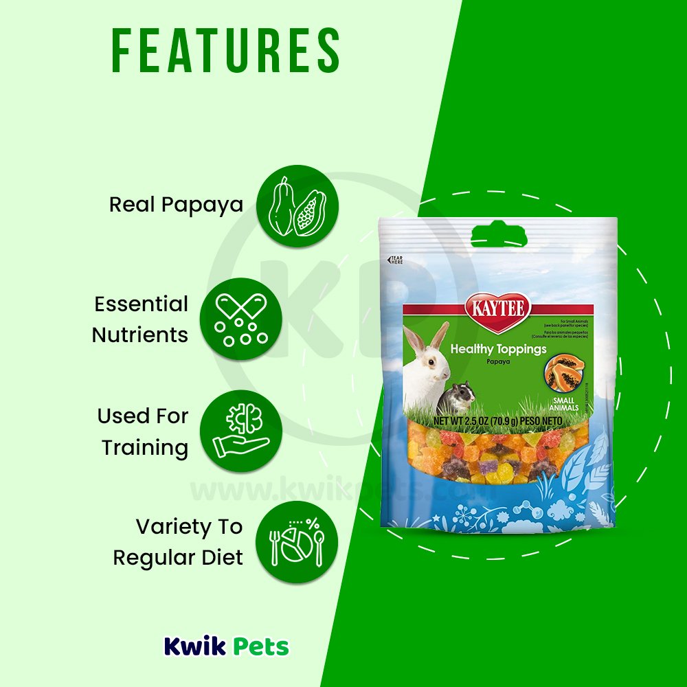 Kaytee Fiesta Healthy Top Papaya Small Animal 2.5oz, Kaytee
