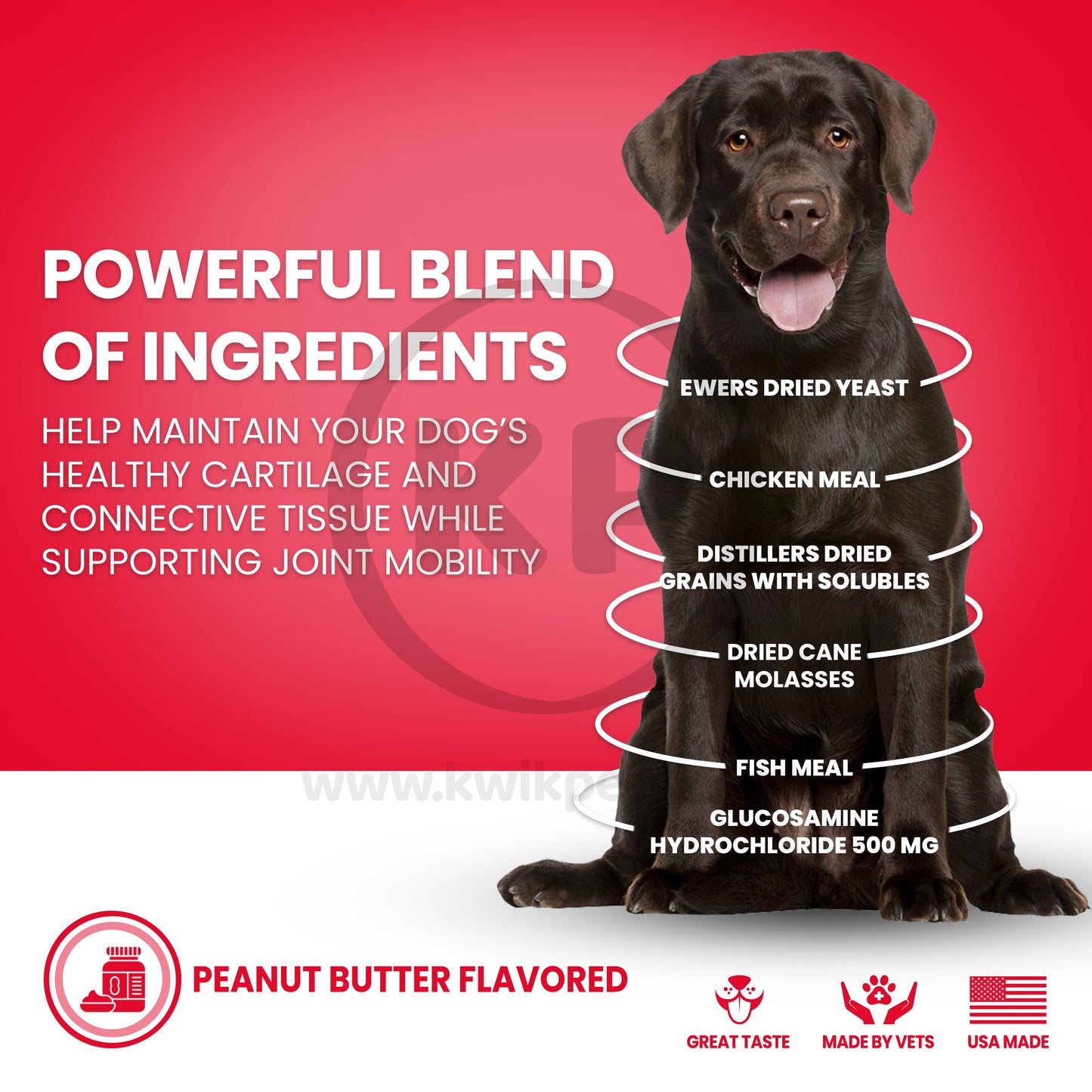Nutri-Vet Hip & Joint Dog Biscuits Peanut Butter, Large. 6-lb, Nutri-Vet