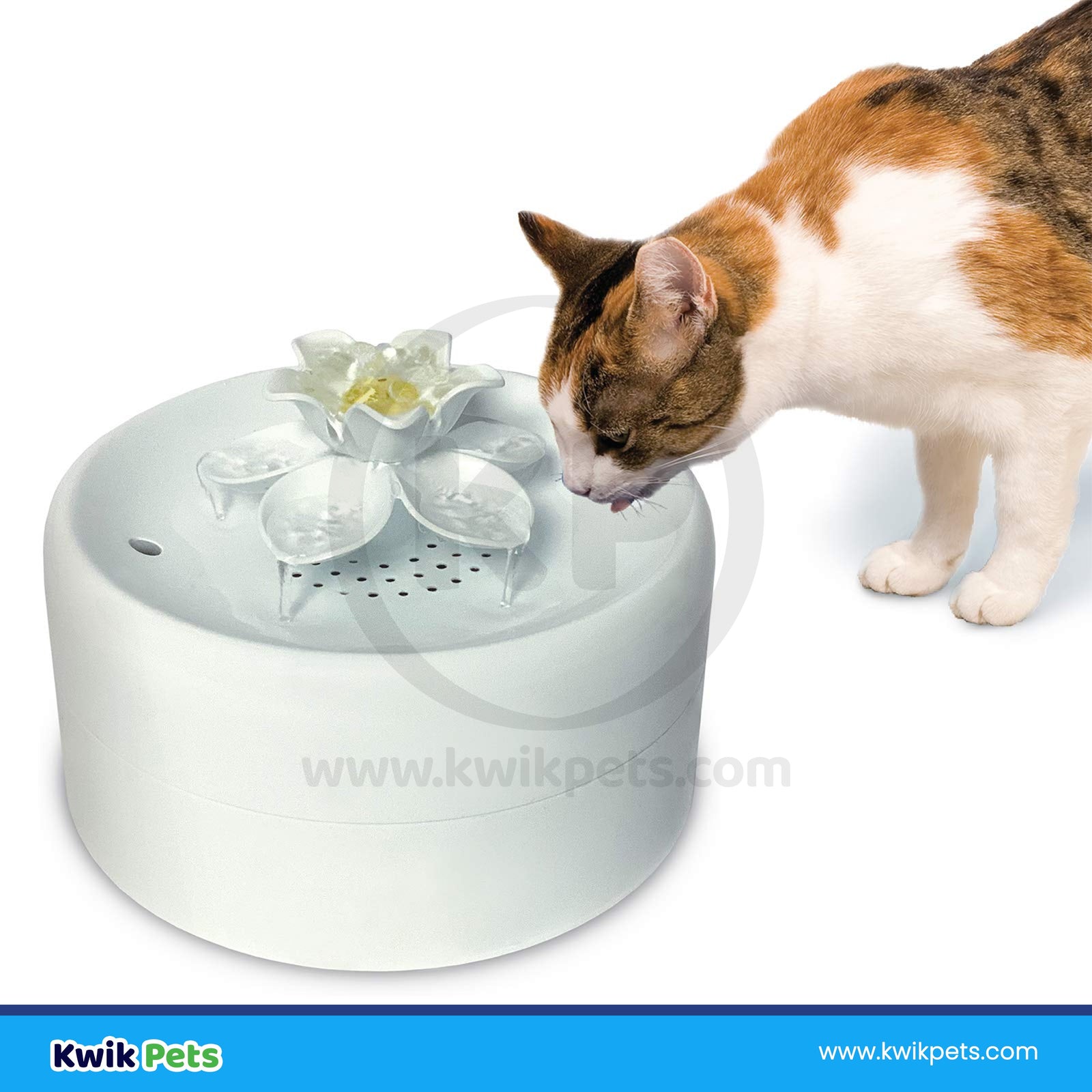 Pioneer Pet Magnolia Fountain-Plastic-White-55 oz, Pioneer Pet
