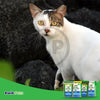 Greenies Feline Adult Cat Dental Treats Tempting Tuna, 4.6 oz, Greenies