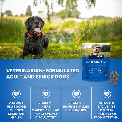 Nutri-Vet Adult-Vite Plus Soft Chew Vitamins for Adult & Senior Dogs Chicken, 6oz, Nutri-Vet