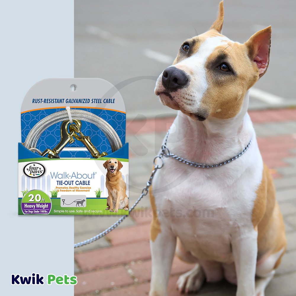 Dog Image of Four Paws Heavy Weight Dog Tie-Out Cable Silver 20-ft