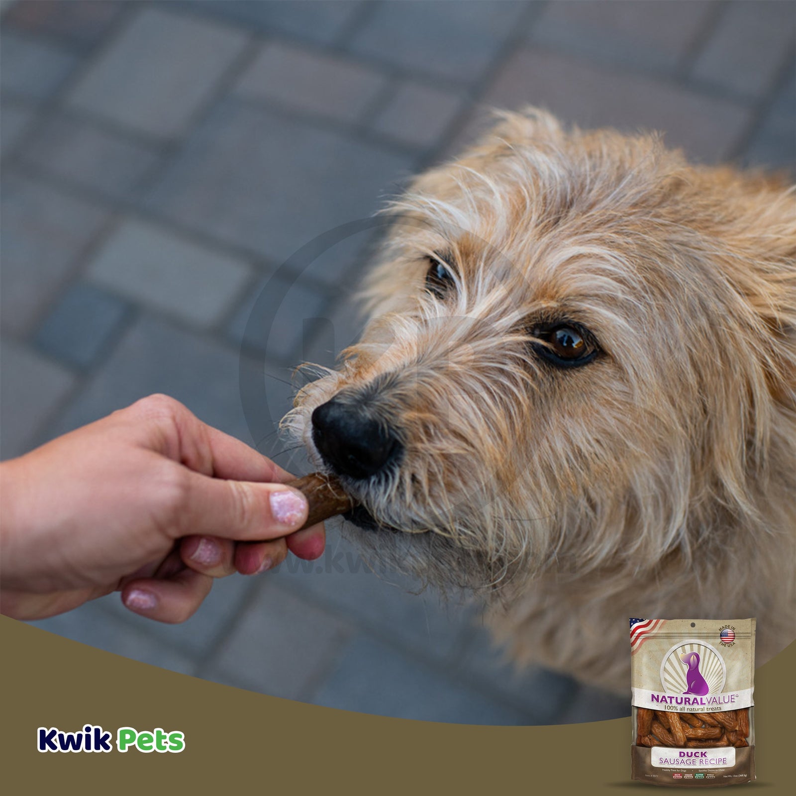 Dog Image of Loving Pets Natural Value Duck Sausages Dog Treat 13-oz