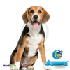JW MegaLast Long Dog, Dog Toy Medium, JW Pet