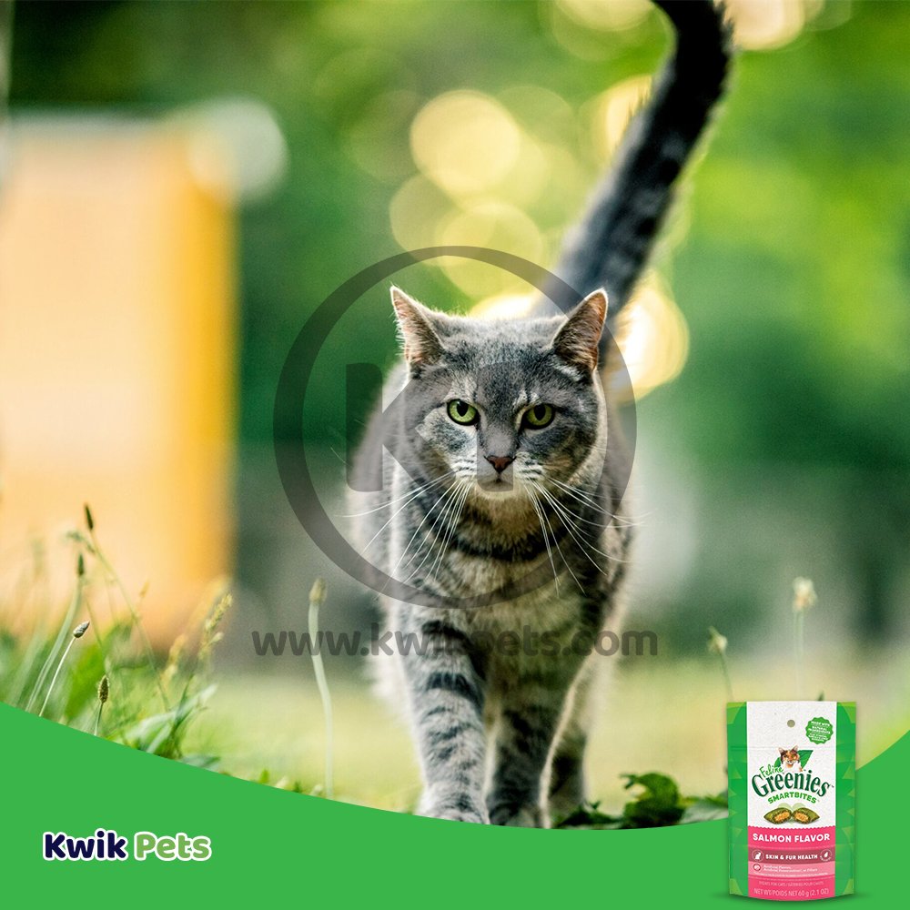 Greenies Feline Smartbites Healthy Skin & Fur Salmon Flavor Cat Treat 2.1 Oz, Greenies
