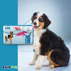 Four Paws Wee-Wee Disposable Dog Diapers 12 Count, Large / XL, Four Paws