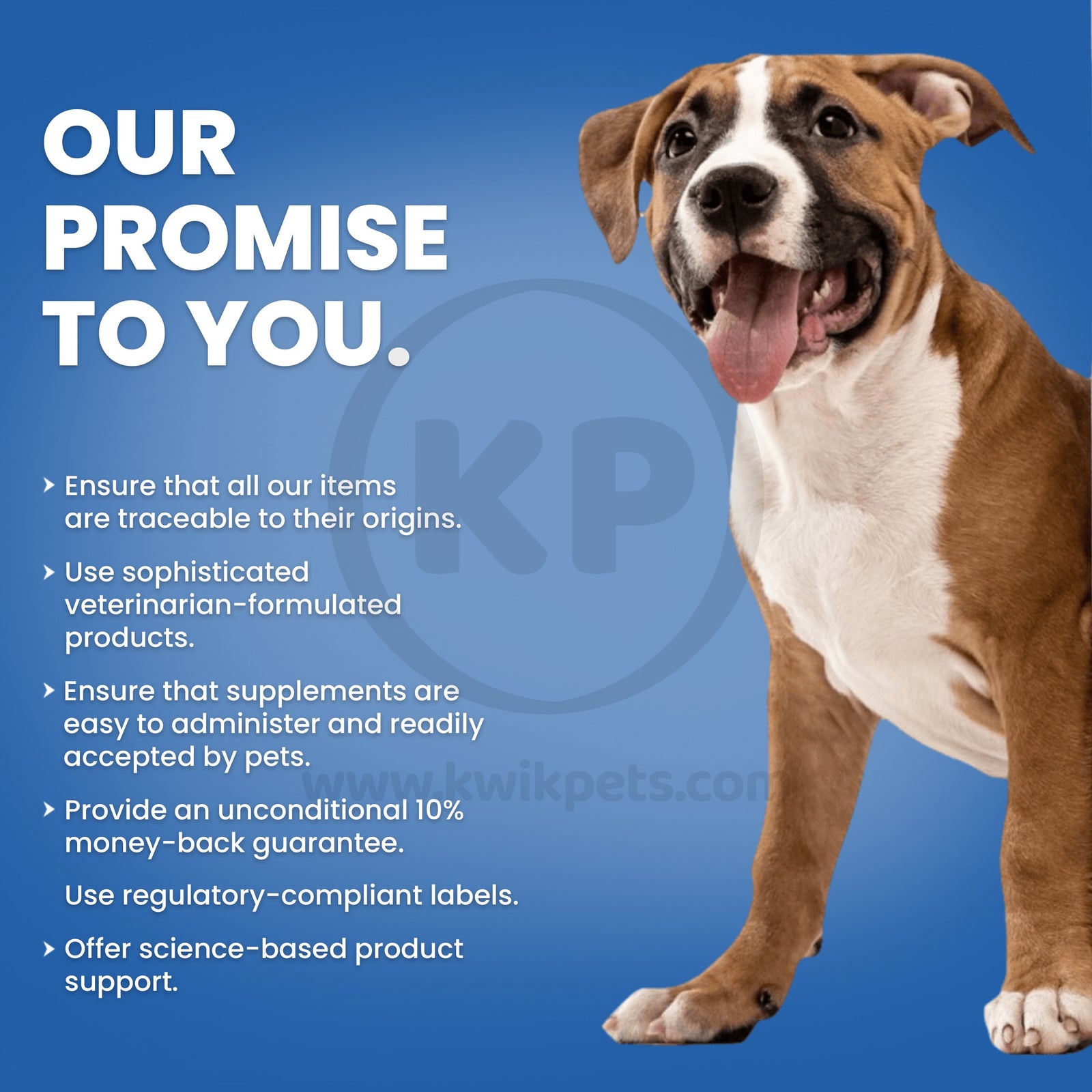 Dog-Image-Of-Nutri-Vet-Adult-Vite-Plus-Chicken-Soft-Chew-Vitamins-for-Adult-&-Senior-Dogs-6-oz