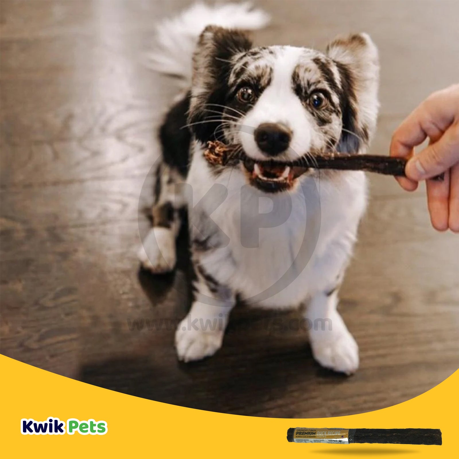 Etta Says! Premium Crunchy Duck Dog Treat 7 in, Etta Says