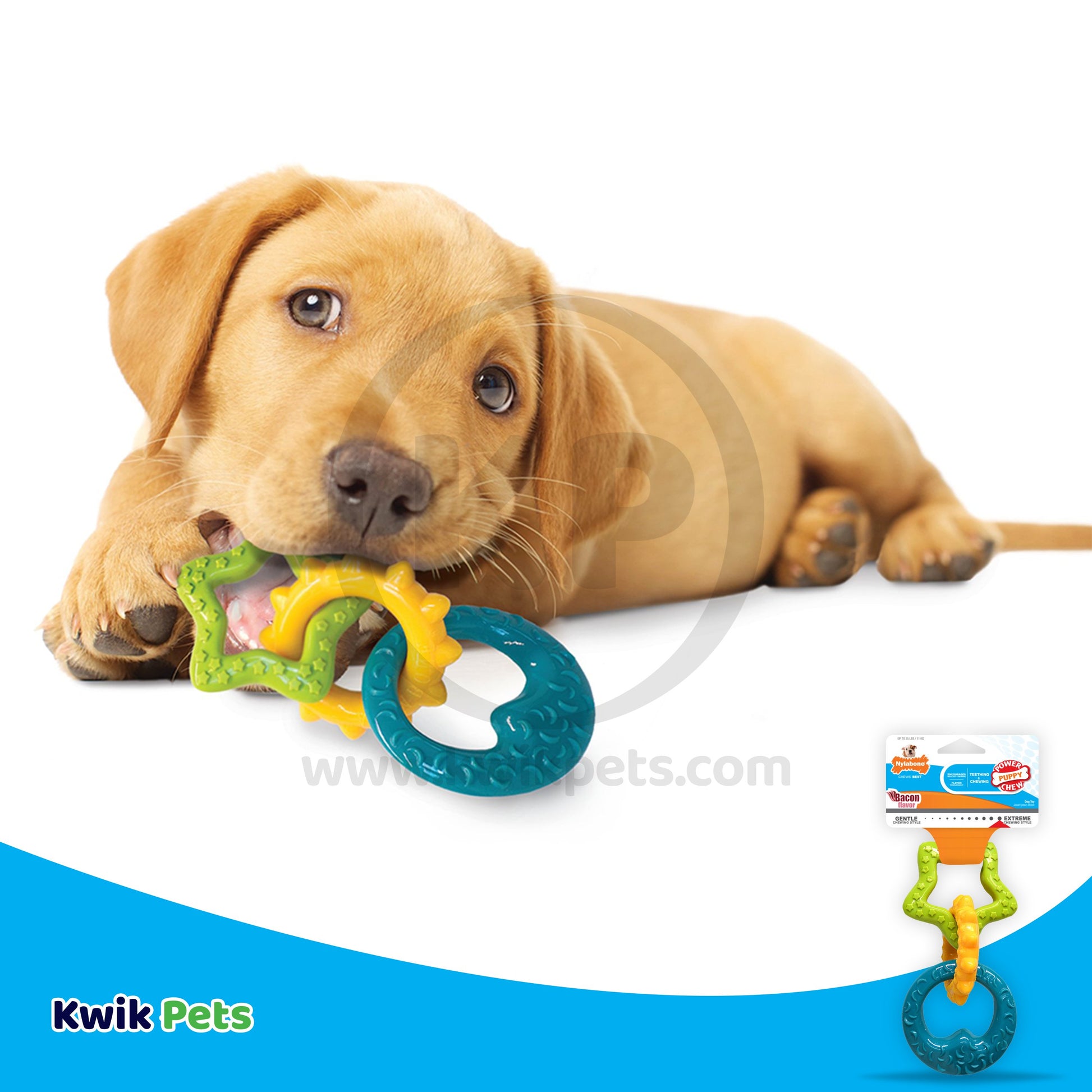 Nylabone Puppy Power Chew Puppy Teething Rings Bacon Flavor /Small/Regular - Up To 25 Ibs., Nylabone