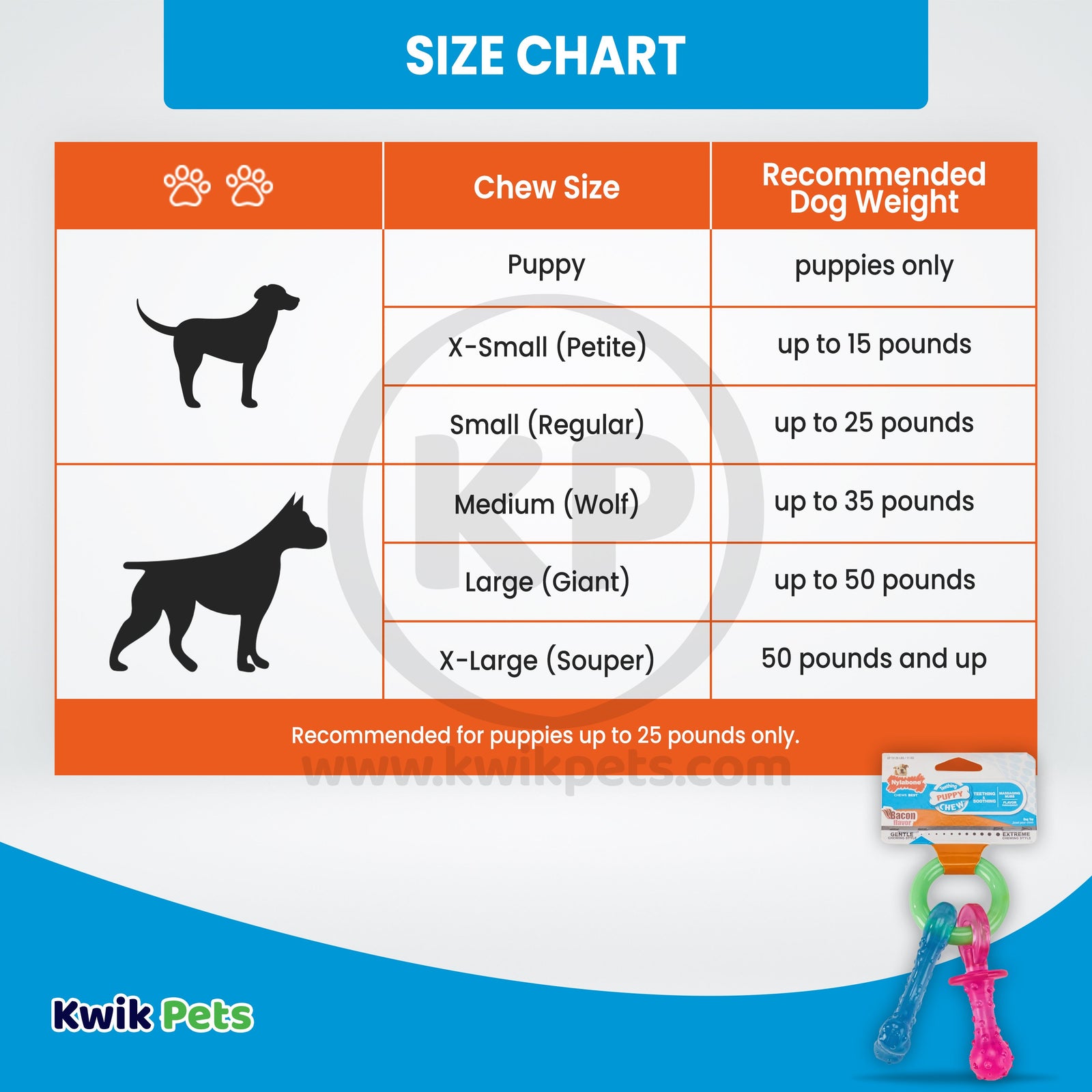 Nylabone Puppy Chew Teething Pacifier Bacon Flavor Small/Regular - Up To 25 lb, Nylabone