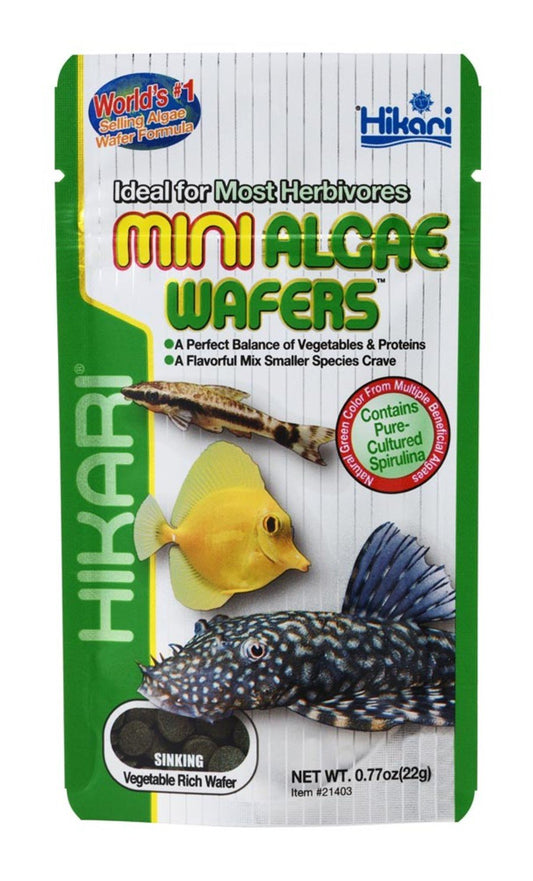 Hikari USA Algae Wafers Sinking Wafer Fish Food, 0.77 oz, Mini, Hikari