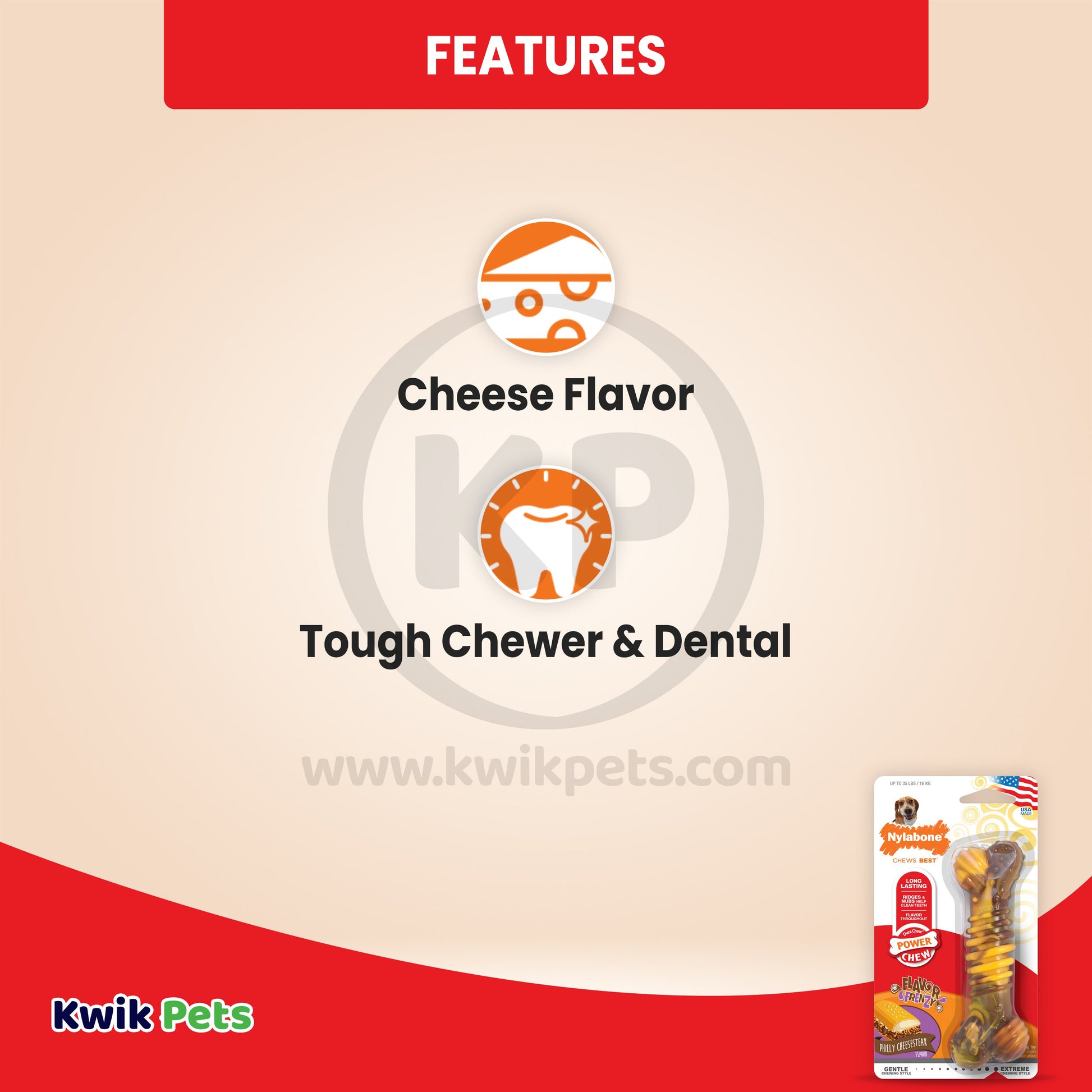 Nylabone Flavor Frenzy Dura Chew Texture Bone Cheesesteak Flavor Souper, Nylabone