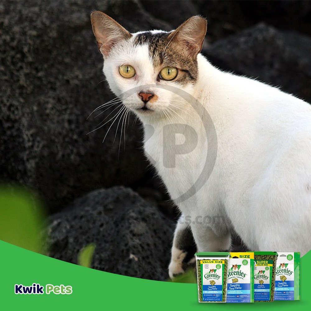 Greenies Feline Adult Cat Dental Treats Tempting Tuna, 9.75 oz, Greenies