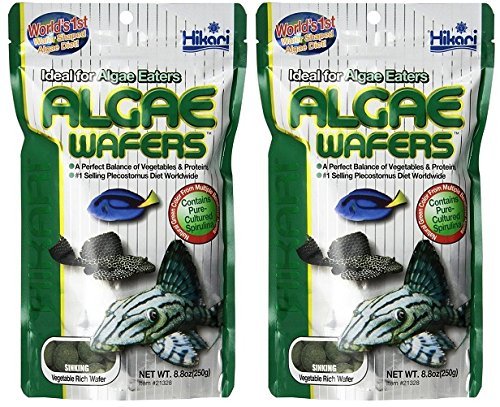 Hikari Tropical Algae Wafers for Bottom Feeding Herbivorous Fish Food, 8.80 Ounces - 2 pack, Hikari Usa Inc.