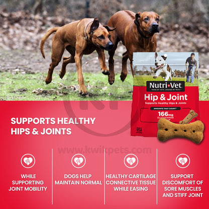 Nutri-Vet Hip & Joint Dog Biscuits Peanut Butter, Small, 19.5-oz, Nutri-Vet