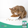 Natural Balance Pet Foods L.I.D. High Protein Dry Cat Food Chicken, 5 lb, Natural Balance