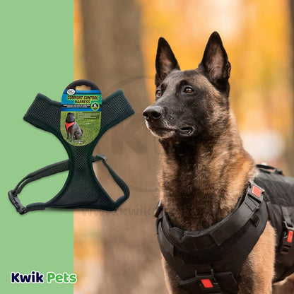 Four Paws Comfort Control Dog Harness Black, Extra Large, Four Paws