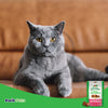 Greenies FELINE Pill Pockets Salmon Flavor Cat Treats 1.6 oz, 45 ct, Greenies