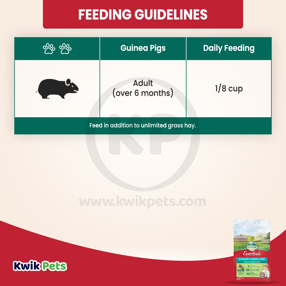 Oxbow Animal Health Essentials Hamster & Gerbil Food, 1 lb, Oxbow