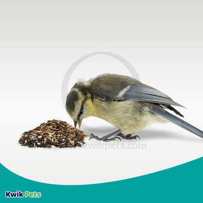 Volkman Seed Company Premium Wild Bird Superior Blend Bird Food, 5 lb, Volkman