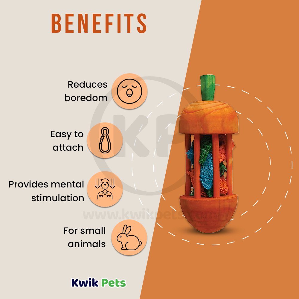 Kaytee Carousel Chew Toy Carrot -Large, Kaytee