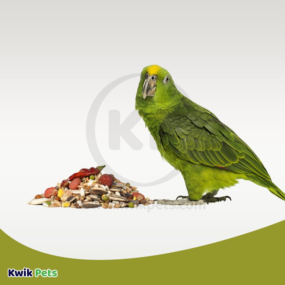 Volkman Seed Company Avian Science Super Parrot Bird Treat, 4 lb, Volkman