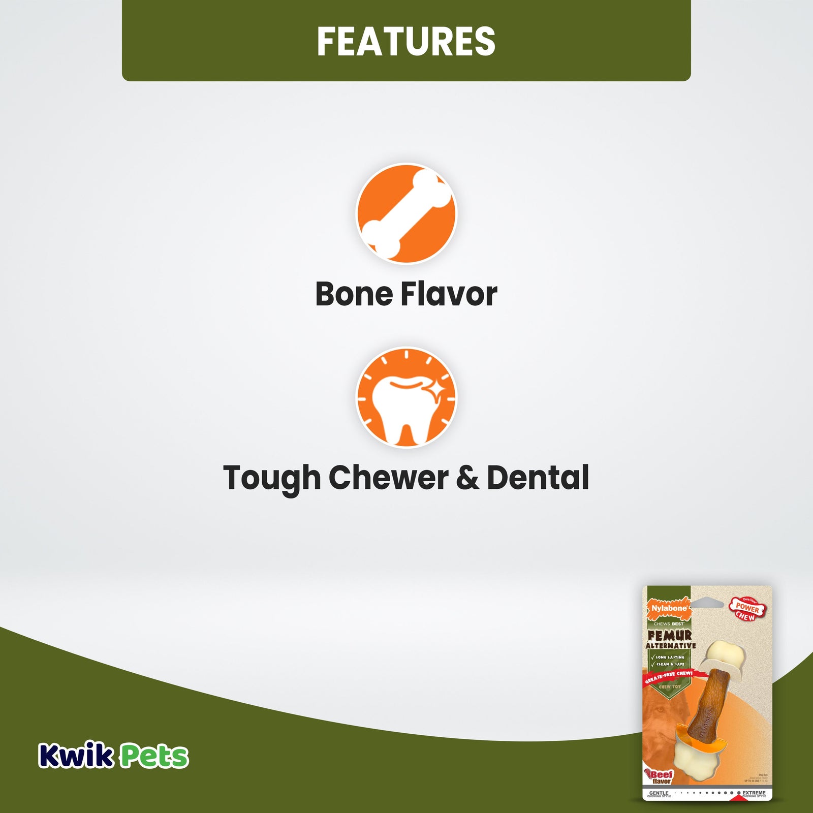 Nylabone Femur Bone Rawhide Alternative Beef Flavor Medium/Wolf - Up To 35 lb - 3