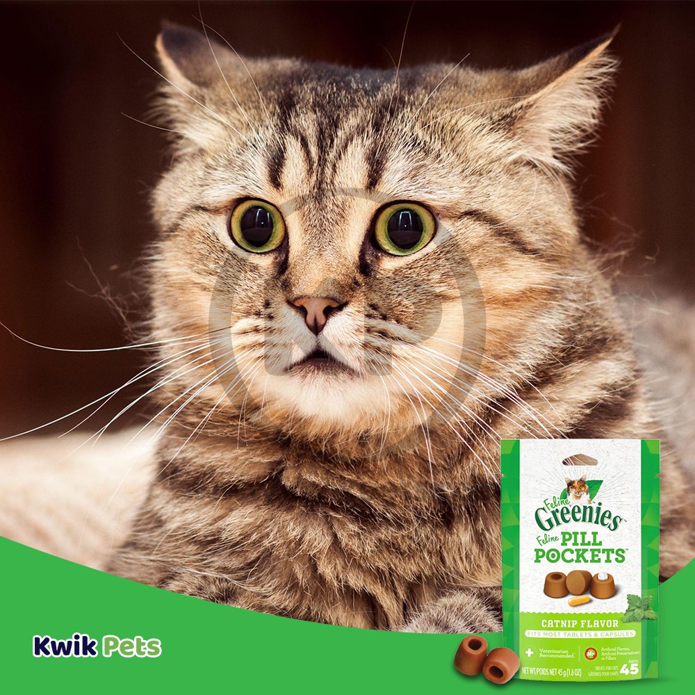 Greenies Feline Pill Pockets Cat Treats Catnip, 1.6 oz, Greenies
