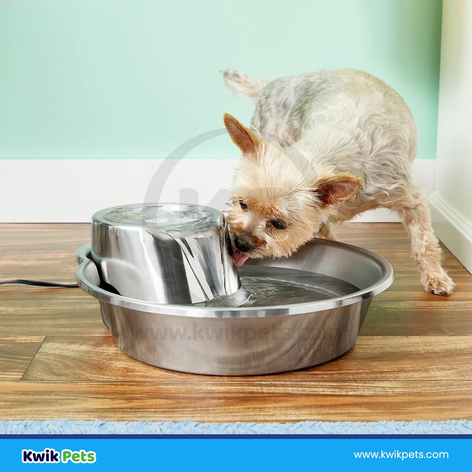 Pioneer Pet Big Max Fountain-Stainless Steel-128 oz, Pioneer Pet