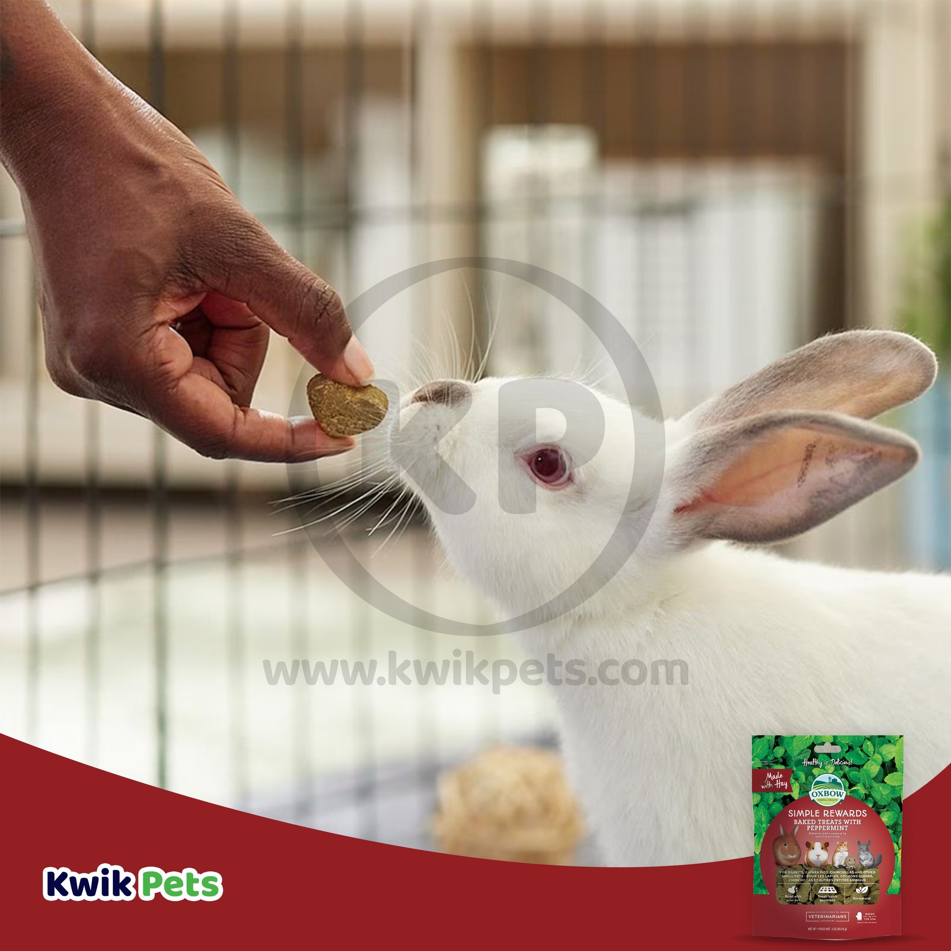 Oxbow Animal Health Simple Rewards Baked Small Animal Treats w/Peppermint, 3 oz, Oxbow