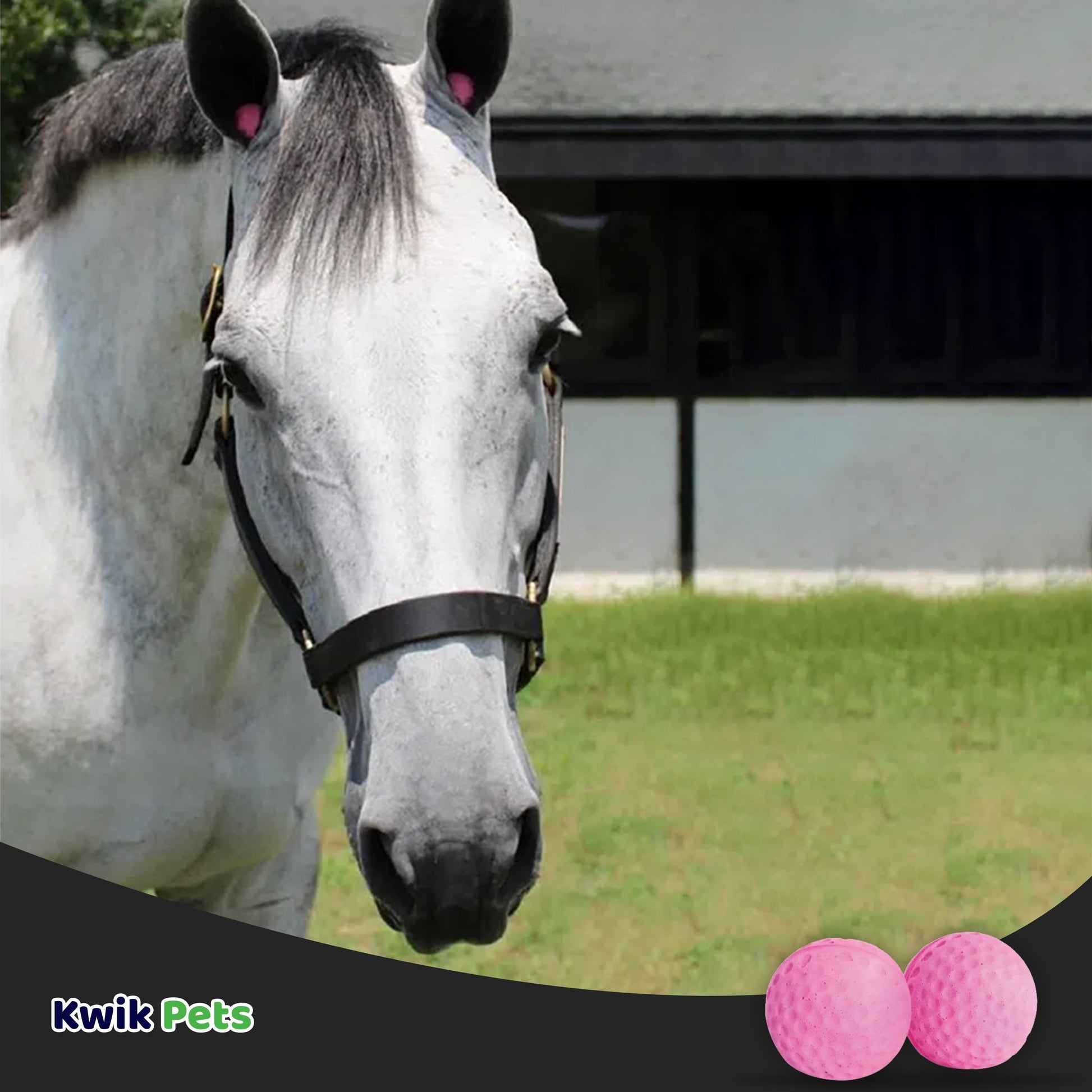 Equine Healthcare International Pomms - Horse Ear Plugs, Pink - Kwik Pets